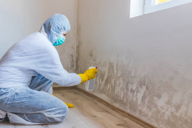 Licensed Commercial Mold Remediation service in Newport, KY - WQB Mold Removal