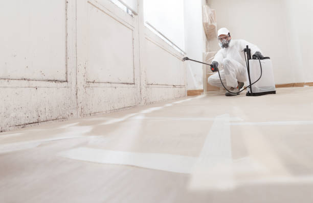 24/7 Emergency Commercial Mold Remediation experts in Newport, KY