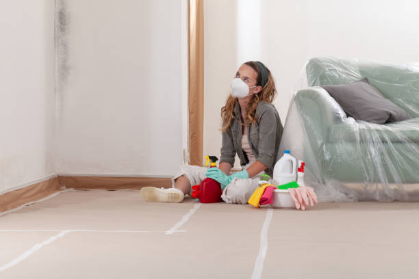 Reliable Commercial Mold Remediation contractor in Newport, KY by WQB Mold Removal